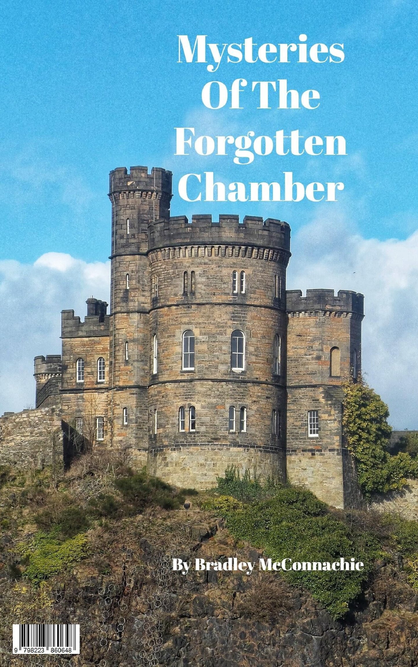 Mysteries of the Forgotten Chamber by Bradley McConnachie (eBook)